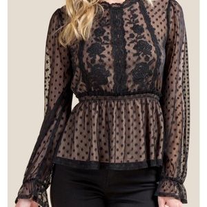 Francesca’s Bianca Embroidered Sheer Blouse
